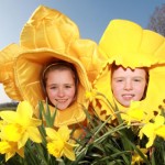 DAFFODIL DAY